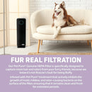 GermGuardian AC4300 Elite 5-in-1 Air Purifier with Pet Pure HEPA Filter, UV-C Sanitizer and Odor Reduction, 22-Inch Tower (black)